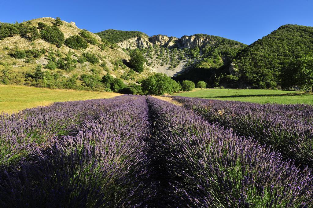 Vvf Drome Provence Hotel Монбран-ле-Бен Екстериор снимка